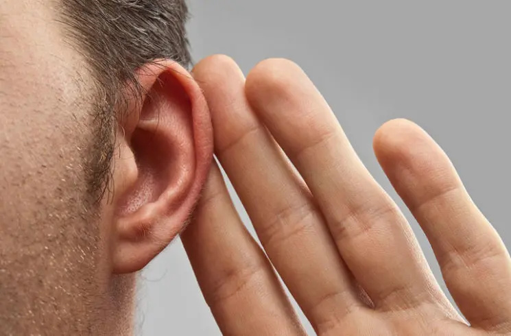 مروری بر آناتومی و فیزیولوژی شنوایی و تعادل